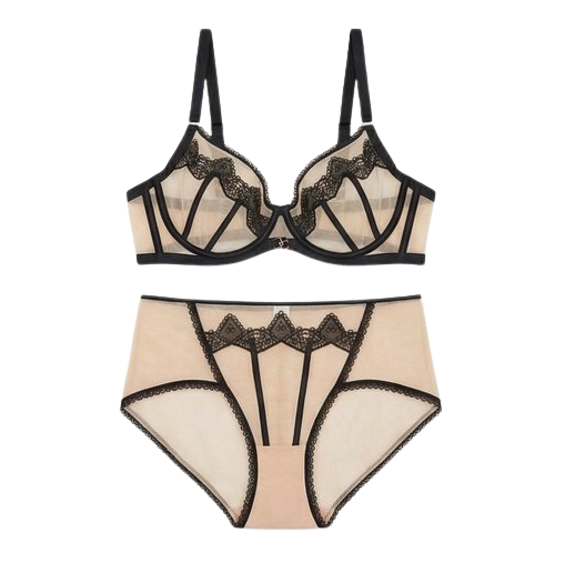 Women’s Sheer Embroidered Lace Lingerie Set – Premium Bra & Panty Set (Multi Color)