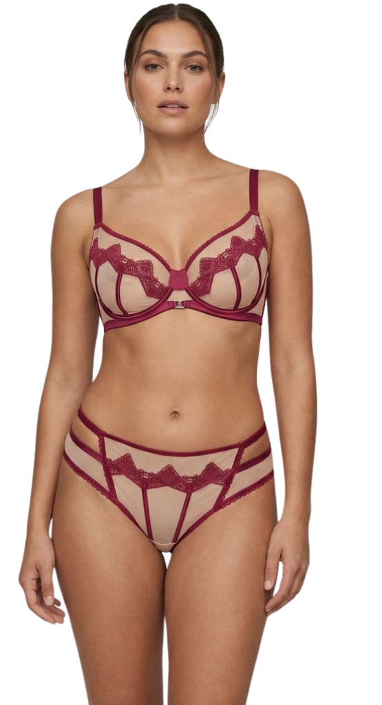 Women’s Sheer Embroidered Lace Lingerie Set – Premium Bra & Panty Set (Multi Color)