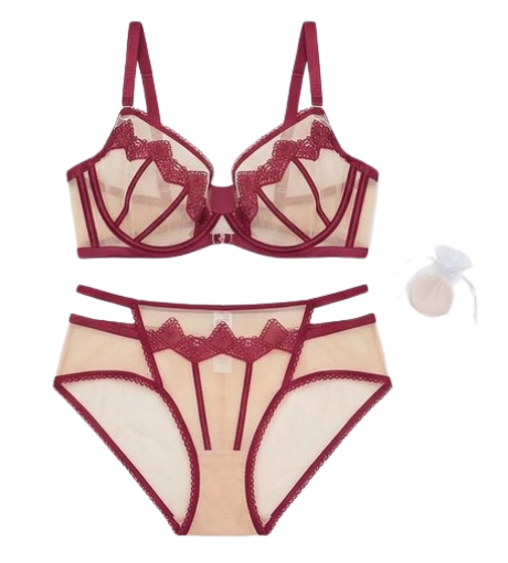 Women’s Sheer Embroidered Lace Lingerie Set – Premium Bra & Panty Set (Multi Color)