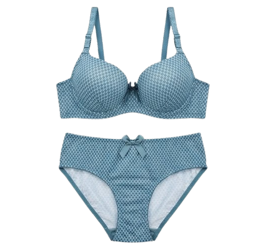 Women’s Printed Padded Bra & Panty Set – Comfortable Everyday Lingerie (Multiple Colors)