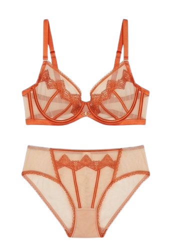 Women’s Sheer Embroidered Lace Lingerie Set – Premium Bra & Panty Set (Multi Color)