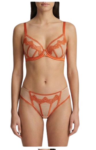 Women’s Sheer Embroidered Lace Lingerie Set – Premium Bra & Panty Set (Multi Color)