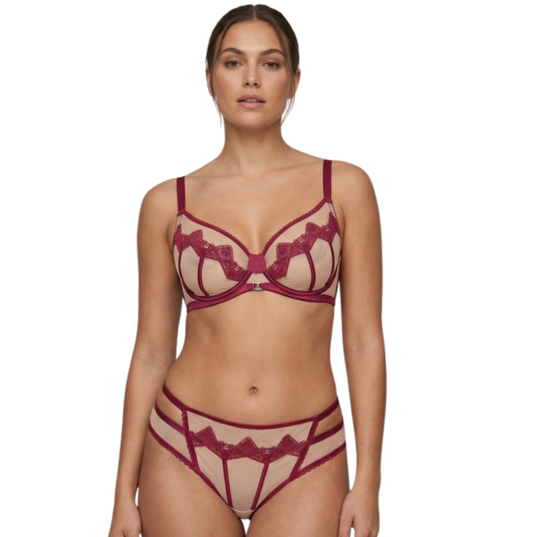 Women’s Sheer Embroidered Lace Lingerie Set – Premium Bra & Panty Set (Multi Color)