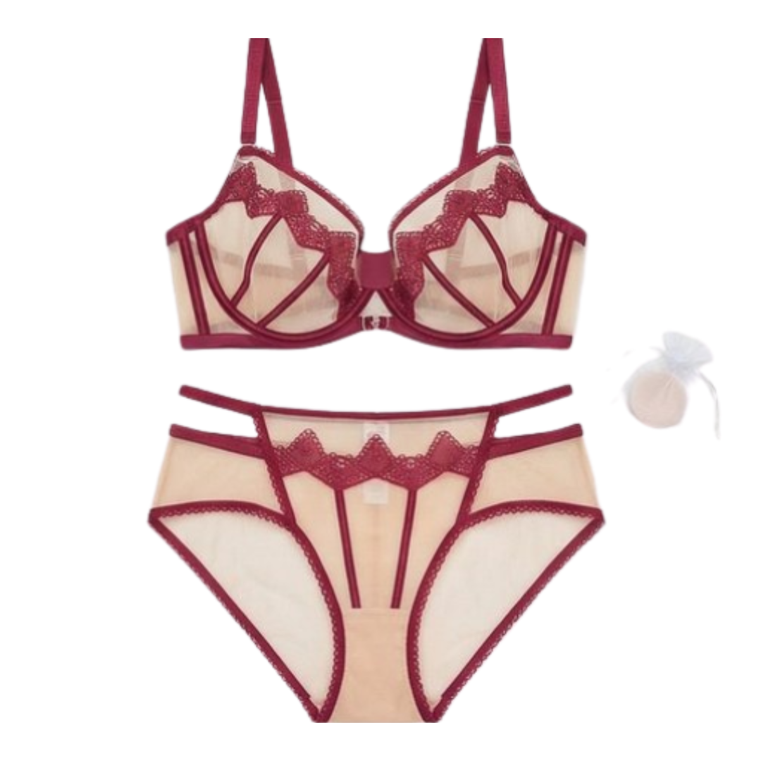 Women’s Sheer Embroidered Lace Lingerie Set – Premium Bra & Panty Set (Multi Color)