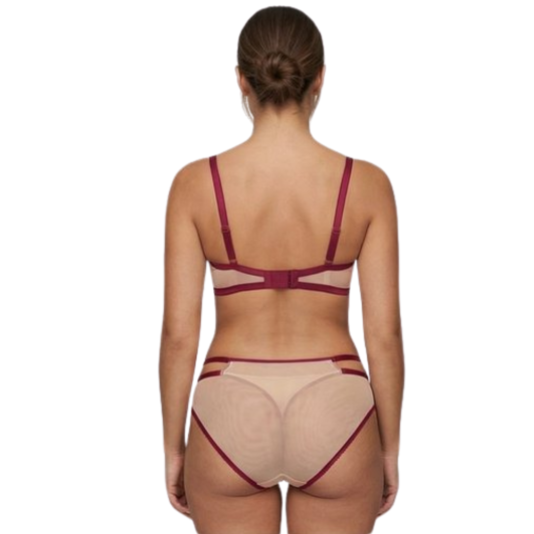 Women’s Sheer Embroidered Lace Lingerie Set – Premium Bra & Panty Set (Multi Color)