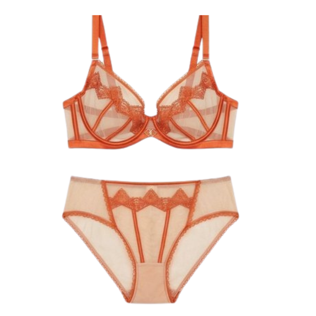 Women’s Sheer Embroidered Lace Lingerie Set – Premium Bra & Panty Set (Multi Color)